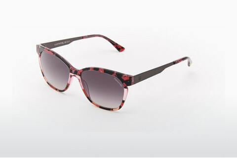 solbrille Comma 77136 73