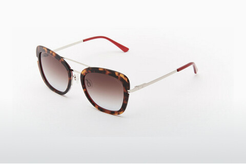 solbrille Comma 77137 67