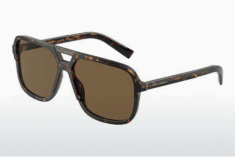 solbrille Dolce & Gabbana DG4354 502/73