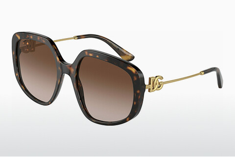 solbrille Dolce & Gabbana DG4421 502/13