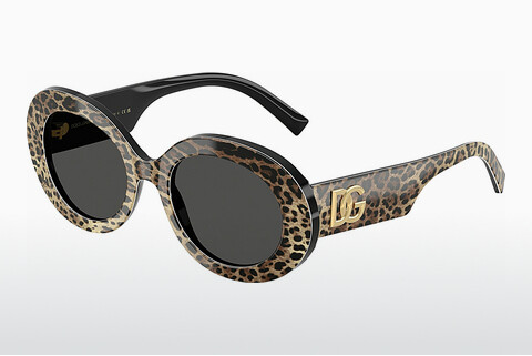 solbrille Dolce & Gabbana DG4448 316387