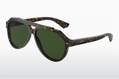 solbrille Dolce & Gabbana DG4452 502/71