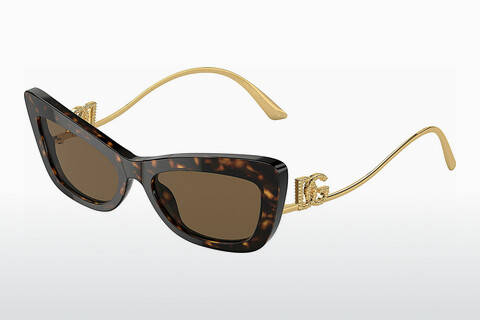 solbrille Dolce & Gabbana DG4467B 502/73