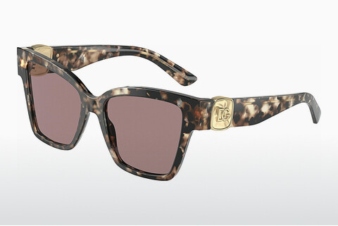 solbrille Dolce & Gabbana DG4470 34387N