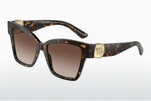 solbrille Dolce & Gabbana DG4470 502/13