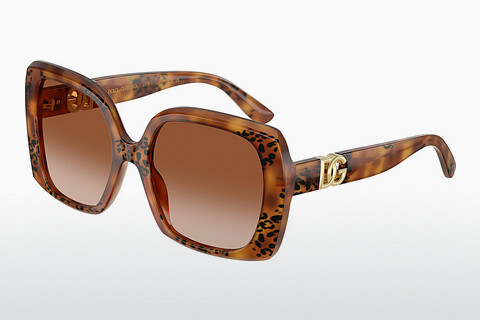 solbrille Dolce & Gabbana DG4475 338013