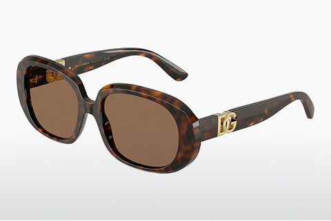 solbrille Dolce & Gabbana DG4476 502/73