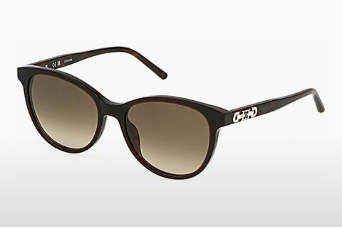 solbrille Escada SESE60S 0752