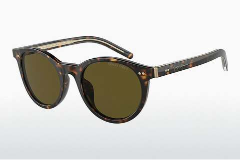 solbrille Giorgio Armani AR8199U 587973