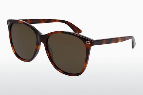 solbrille Gucci GG0024S 002