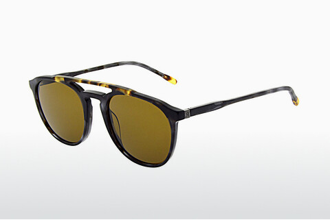 solbrille Hackett 802 050