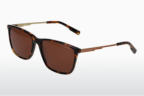 solbrille Hackett HSB3349 679P