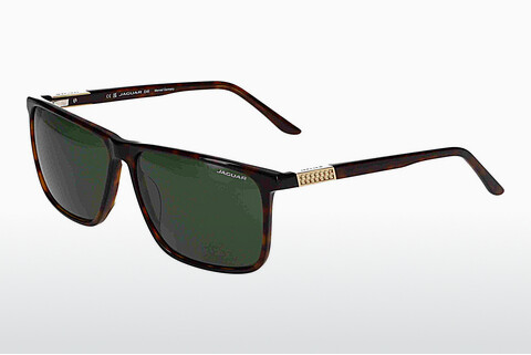 solbrille Jaguar 37124 8940