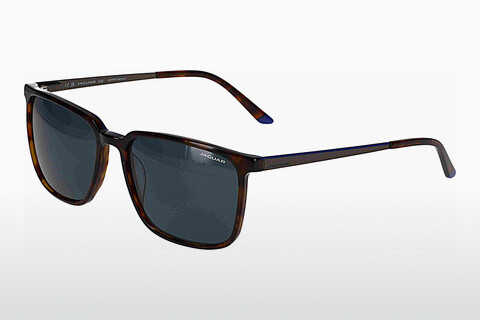 solbrille Jaguar 37263 5307