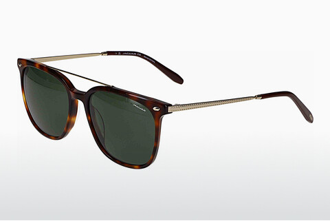 solbrille Jaguar 37283 4982