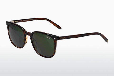 solbrille Jaguar 37284 4801