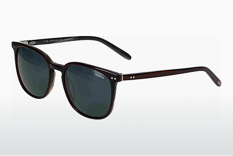 solbrille Jaguar 37284 5284