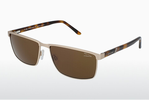 solbrille Jaguar 37364 8200