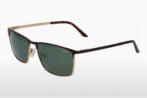 solbrille Jaguar 37370 2100