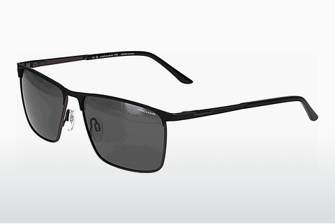 solbrille Jaguar 37371 6100