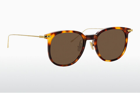 solbrille Linda Farrow LF04 C12