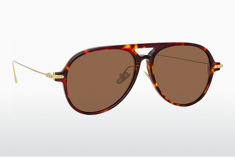 solbrille Linda Farrow LF24 C4