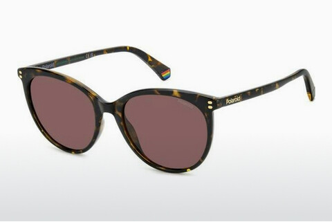 solbrille Polaroid PLD 6231/S 086/KL