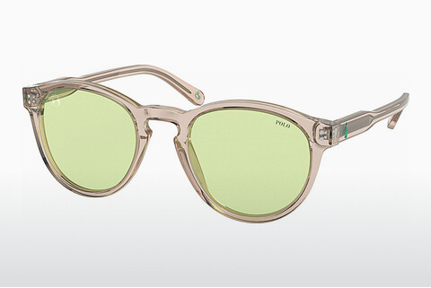 solbrille Polo PH4172 5952/2