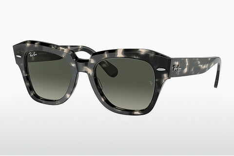 solbrille Ray-Ban STATE STREET (RB2186 133371)
