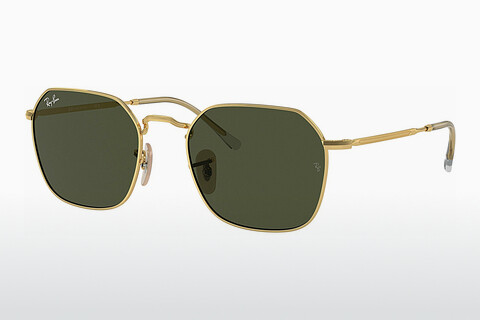 solbrille Ray-Ban JIM (RB3694 001/31)