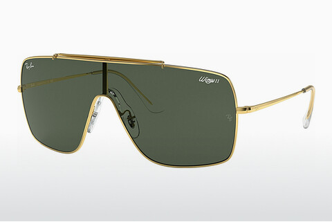 solbrille Ray-Ban WINGS II (RB3697 905071)