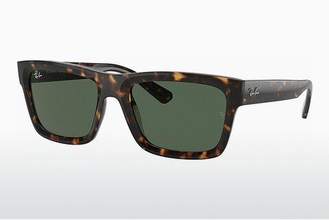 solbrille Ray-Ban WARREN (RB4396 135971)
