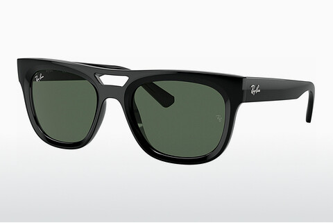solbrille Ray-Ban PHIL (RB4426 667771)