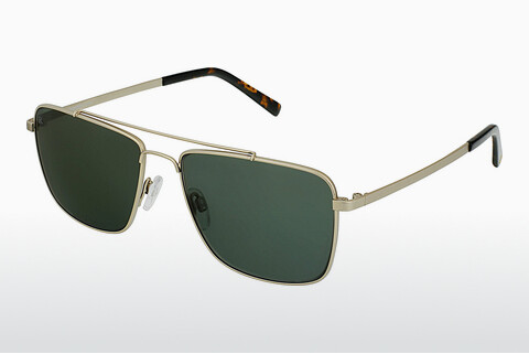 solbrille Rocco by Rodenstock RR104 B