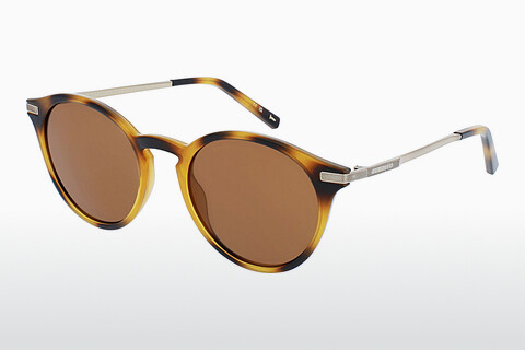 solbrille Ted Baker 1632 100