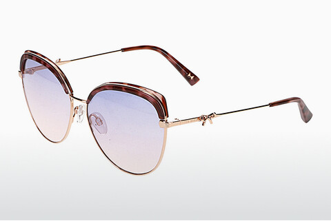 solbrille Ted Baker 1661 244