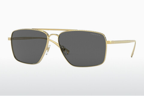 solbrille Versace VE2216 100287