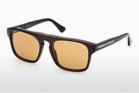 solbrille Web Eyewear WE0325 50E