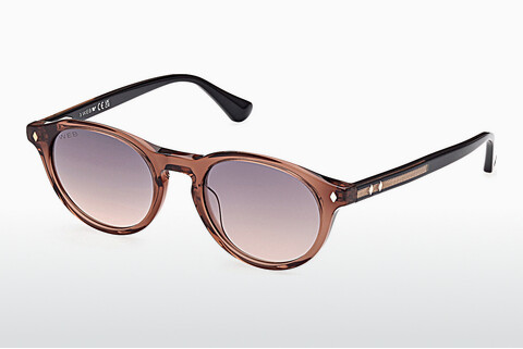 solbrille Web Eyewear WE0337 57B