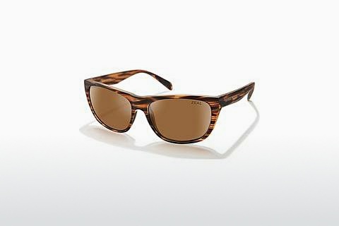 solbrille Zeal Quandary 11856