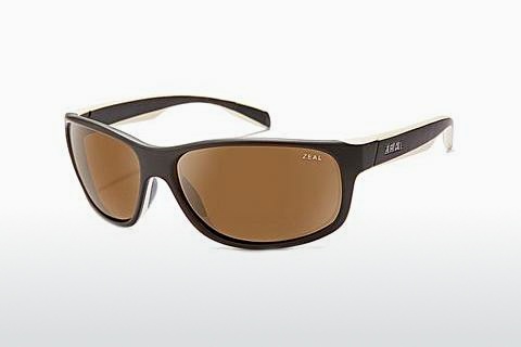 solbrille Zeal SABLE 11437