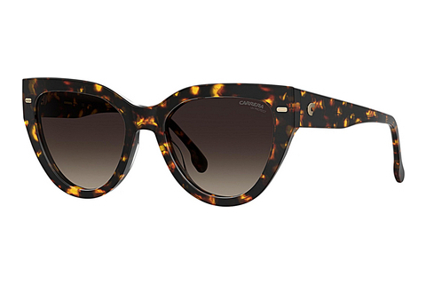solbrille Carrera CARRERA 3017/S 086/HA