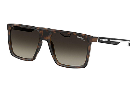 solbrille Carrera CARRERA 4019/S 086/HA