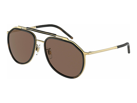 solbrille Dolce & Gabbana DG2277 02/73