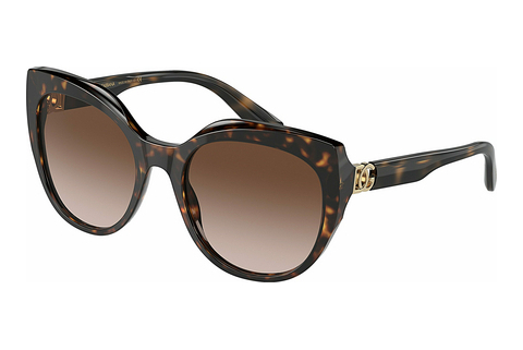 solbrille Dolce & Gabbana DG4392 502/13