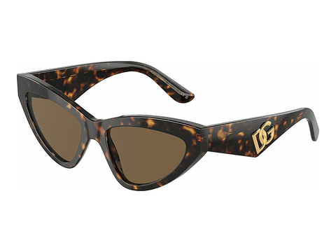 solbrille Dolce & Gabbana DG4439 502/73