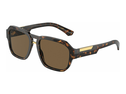 solbrille Dolce & Gabbana DG4464 502/73