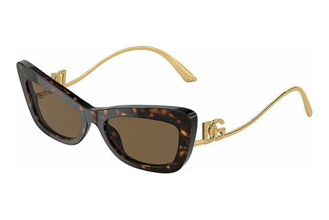solbrille Dolce & Gabbana DG4467B 502/73