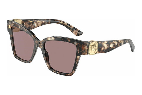 solbrille Dolce & Gabbana DG4470 34387N