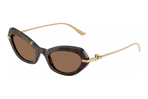 solbrille Dolce & Gabbana DG4473 502/73